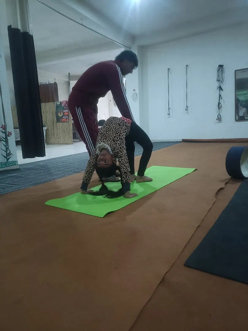 गुरुकुल योग — Gymnastics in Sector 85