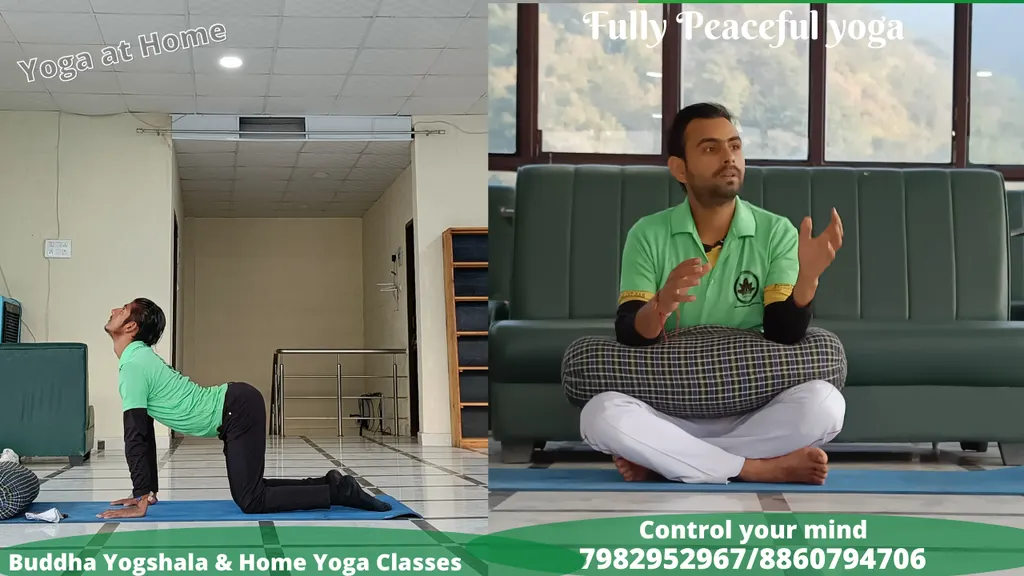 Home Yoga Classes — Yoga in Pitampura