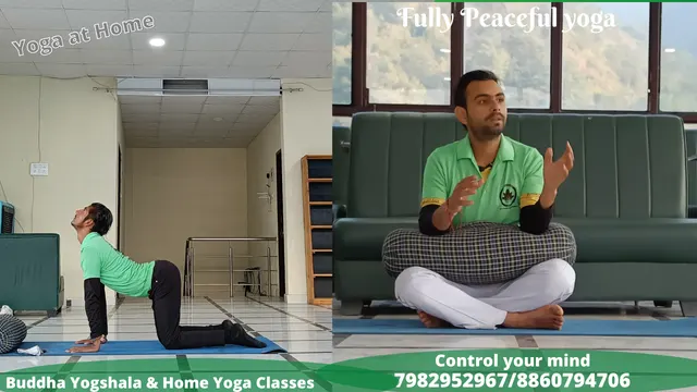 Home Yoga Classes — Yoga in Pitampura