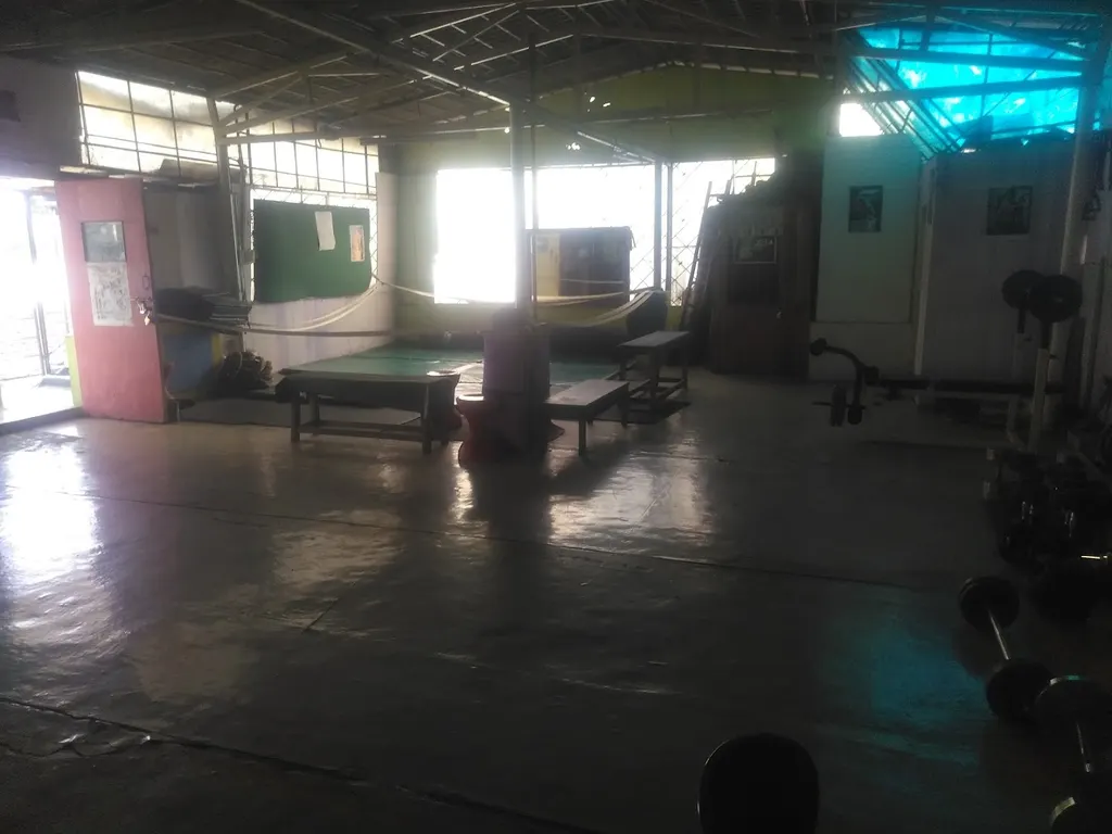 Blue Dragon Mixed Martial Arts — Martial Arts in BTM Layout