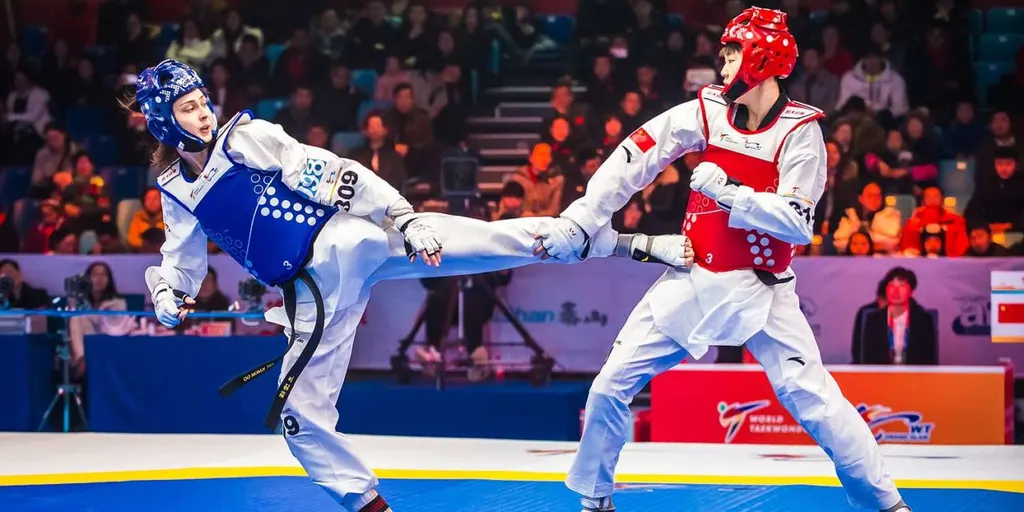 Royal Taekwondo Academy — Martial Arts in Karol Bagh
