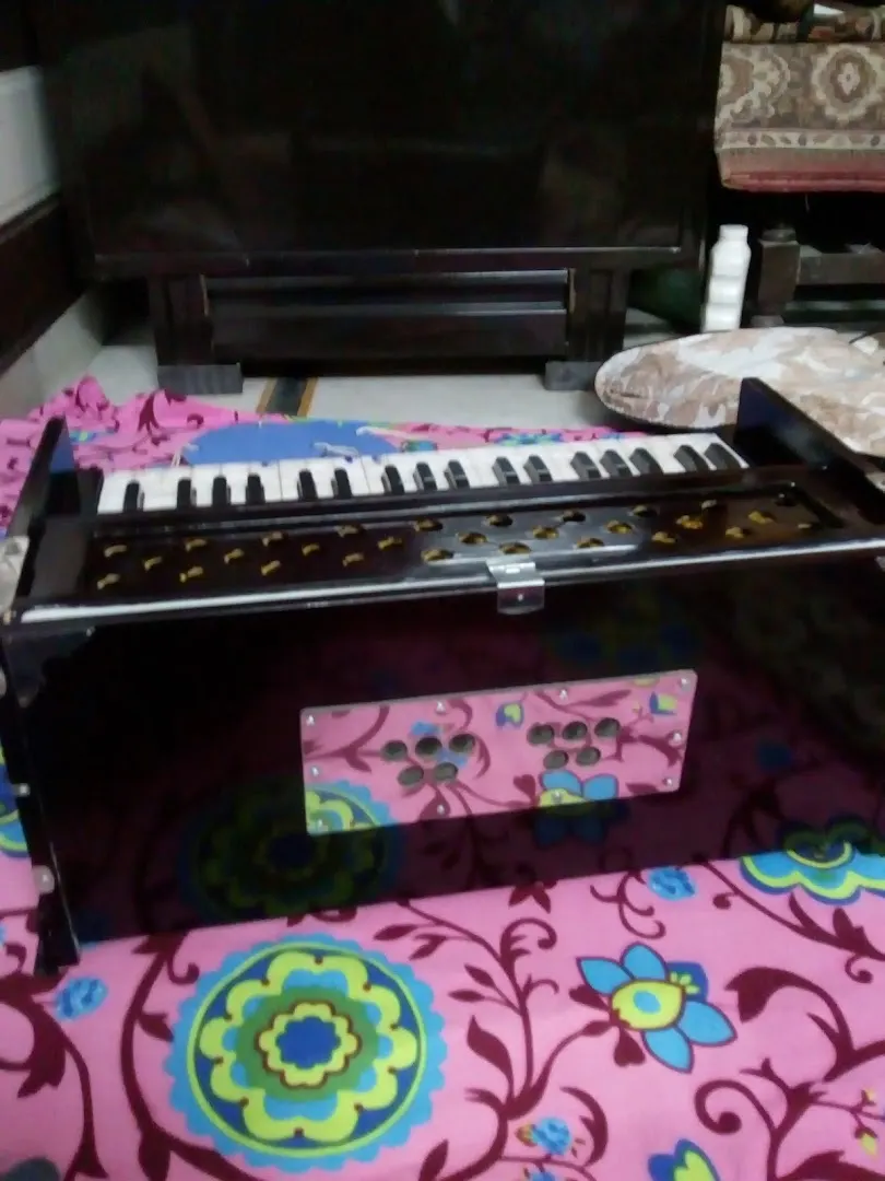 SWAMI OMANAND SARASWATI SANGEET M — Music in Narela