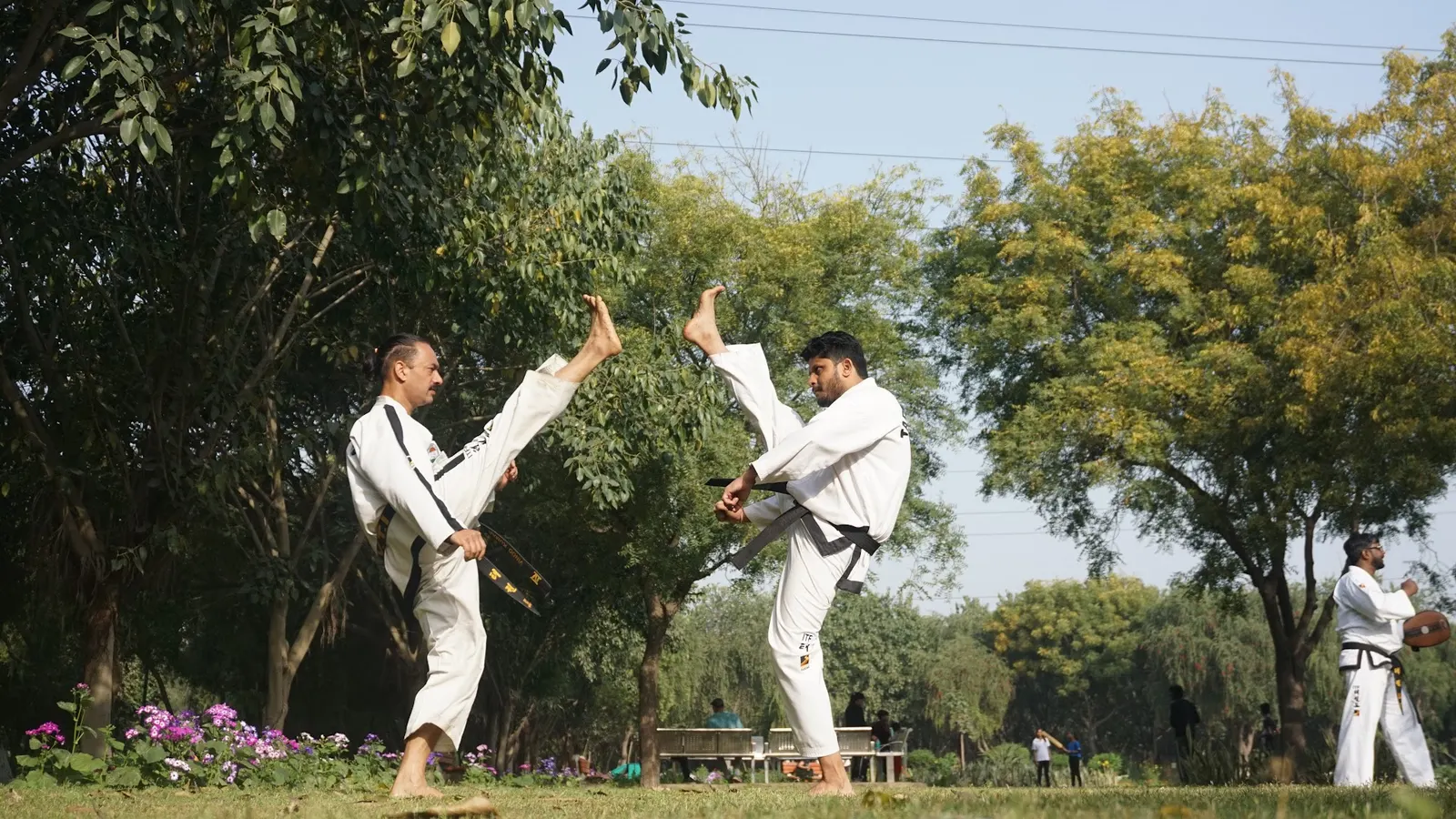 Taekwon-Do Organisation Of Delhi — Martial Arts in Bindapur, Delhi
