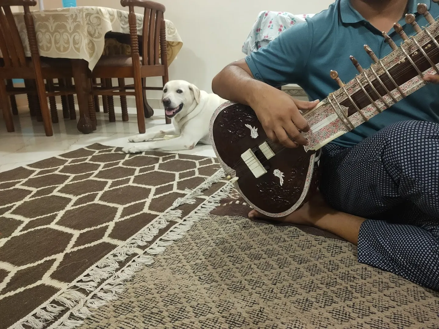 Sitar Classes photo 1