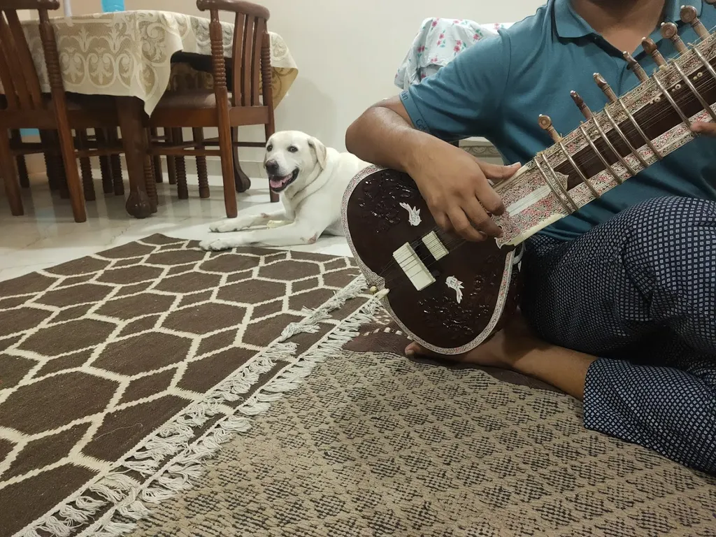 Sitar Classes — Music in HSR Layout