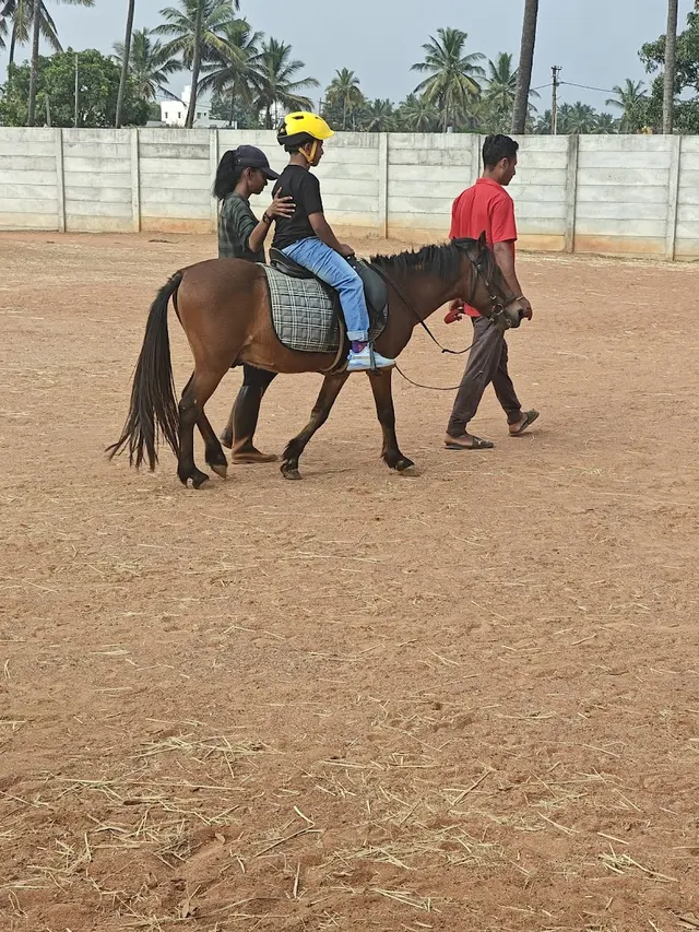 Miracle Equine Center — Horse Riding in Agrahara