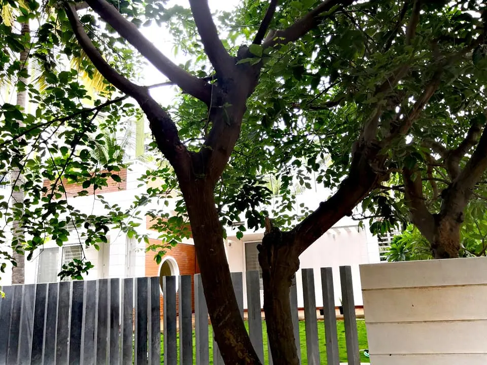 Pushp Art Studio — Art & Craft in Haralur