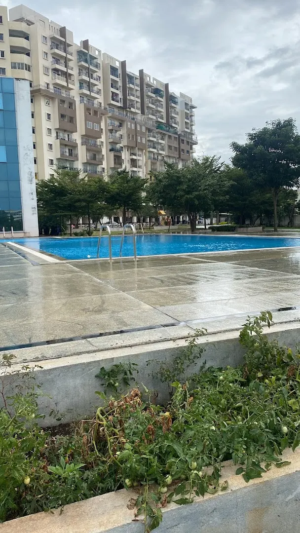 Basketball Court — Basketball in Electronic City, Bengaluru