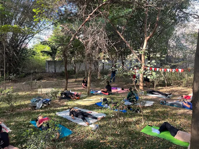 Flow with Ayushi — Yoga in Haralur