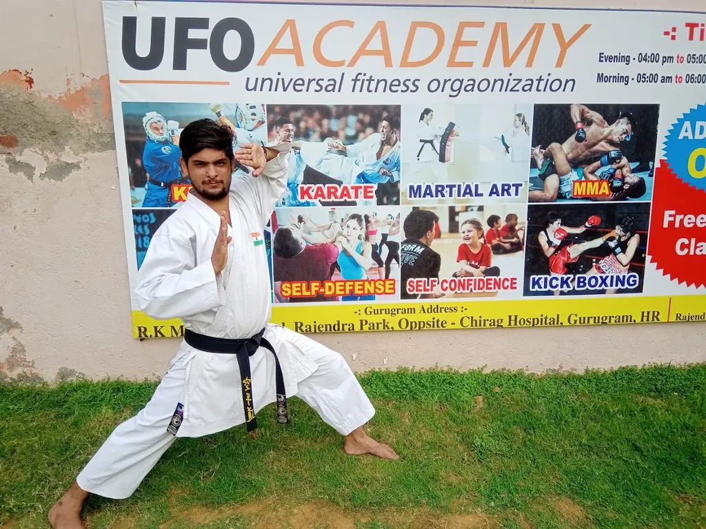 UFO Martial Arts Academy — Martial Arts in Palam Vihar