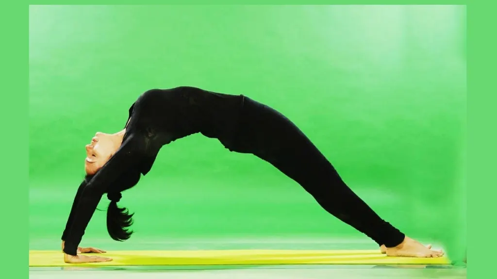ShwetYoga Wellness Institute — Yoga in Thane West