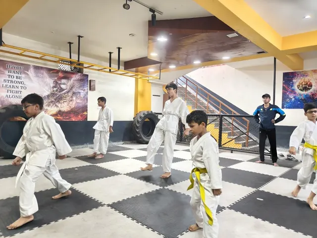 Indo Shotokan Karate Do Organisation — Martial Arts in Narela