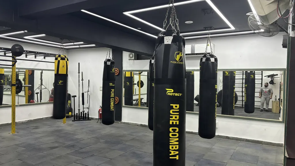 Purecombat — Martial Arts in Sector 122