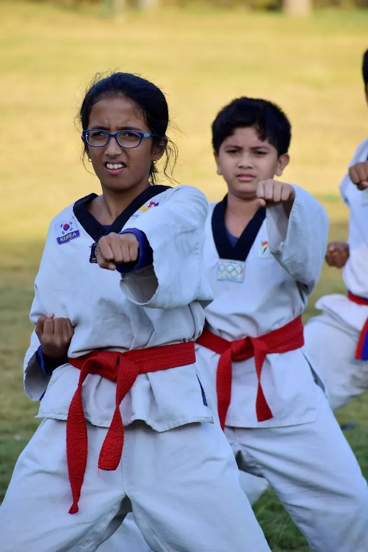 Dynamo Taekwondo sports Academy — Martial Arts in Sector 49