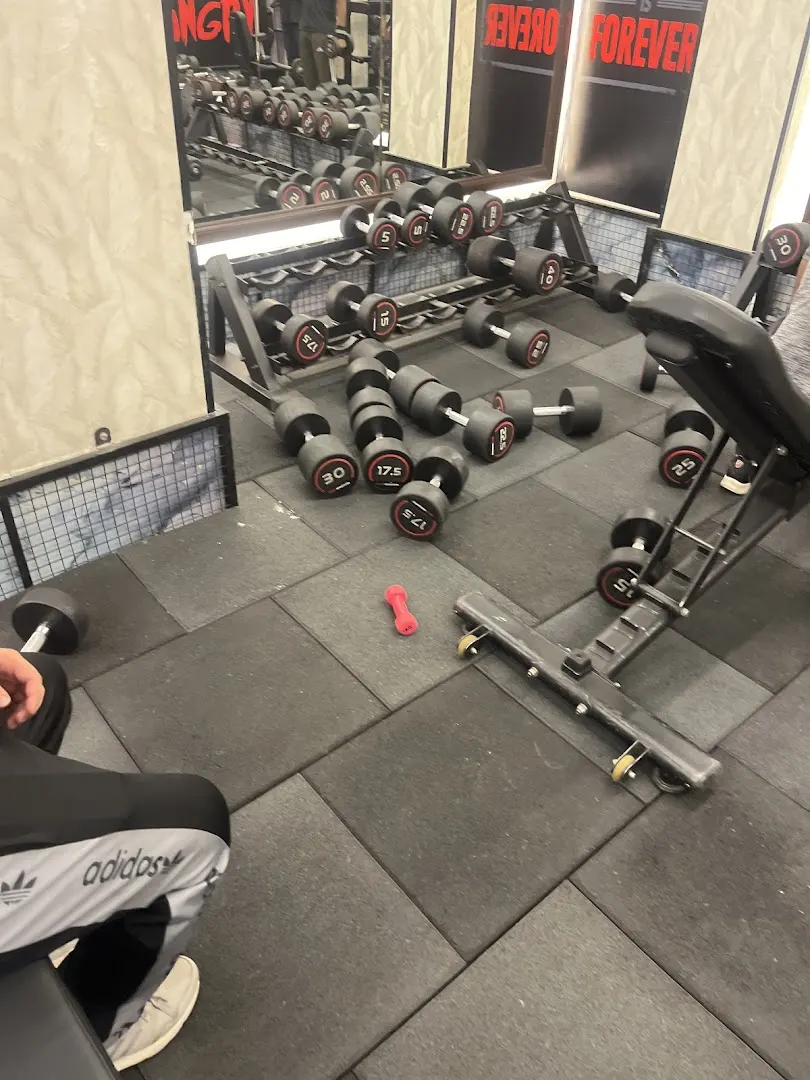 Muscle headquarter Gym — Strength & Powerlifting in Krishna Nagar, Delhi