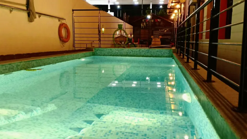 Platinum Paws Paradise — Swimming in JP Nagar
