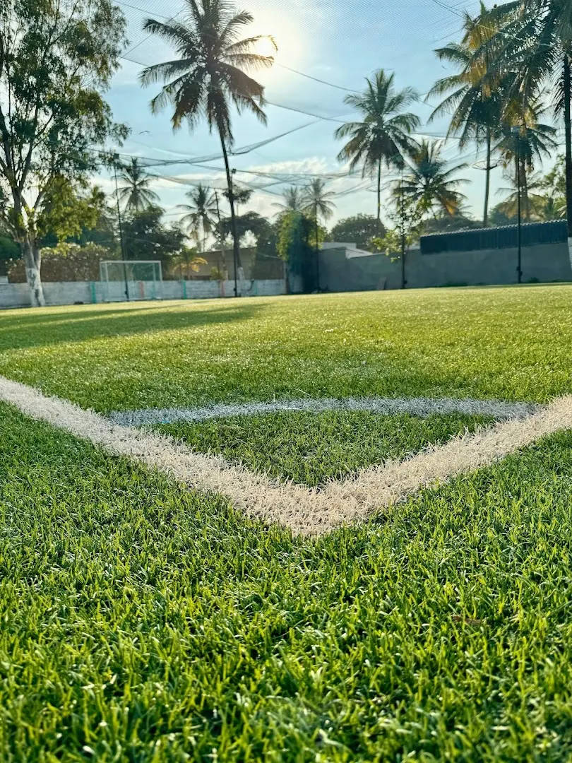 Bravo Sports — Cricket in Marathahalli