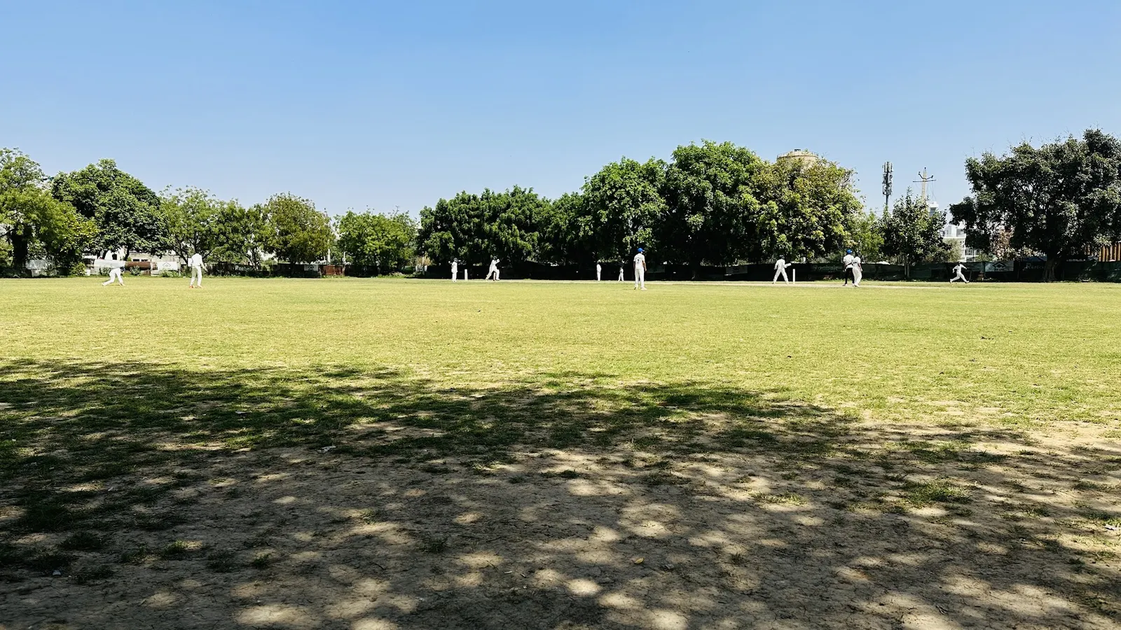 Florence cricket academy photo 1