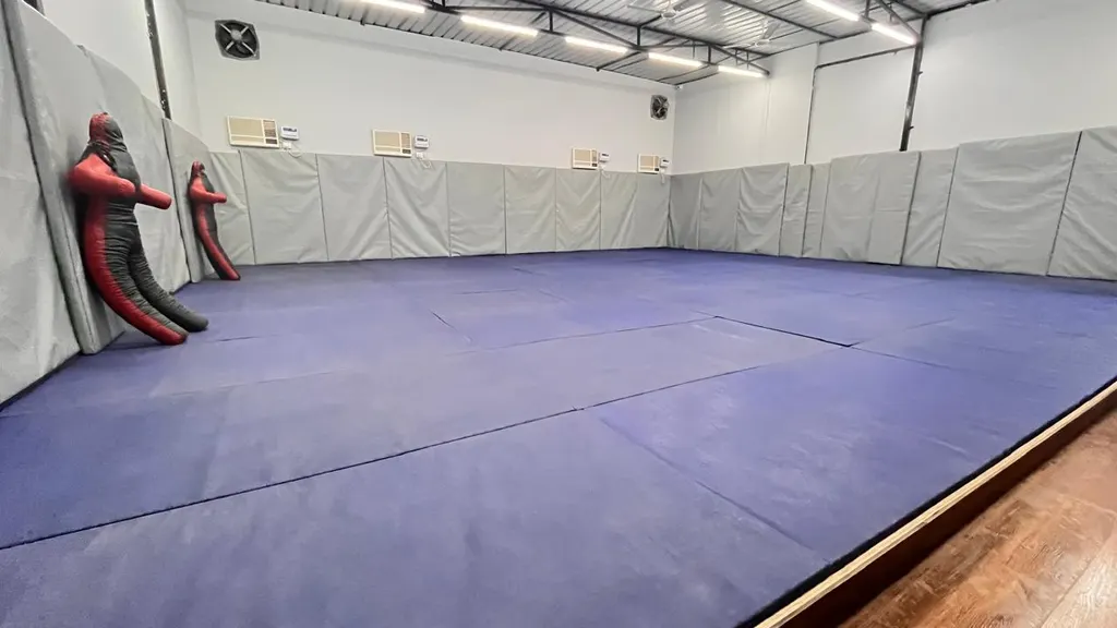 Rebel Jiu Jitsu & MMA — Martial Arts in Sector 45