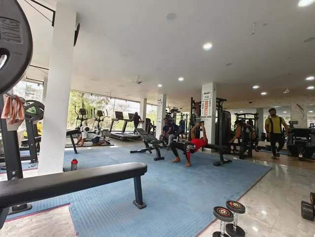 Back & Barbell