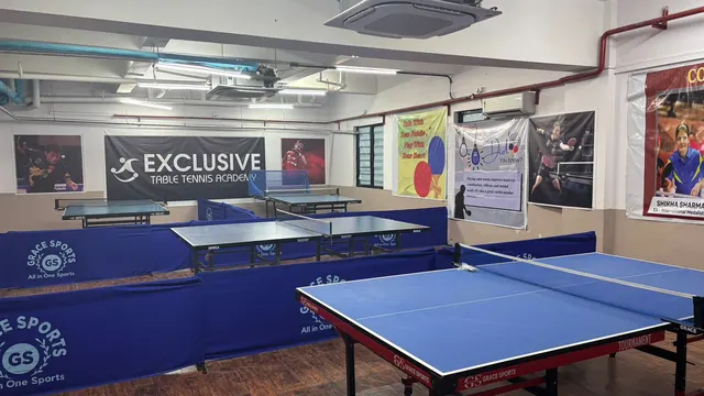 Exclusive Table Tennis Academy — Table Tennis in Sector 43