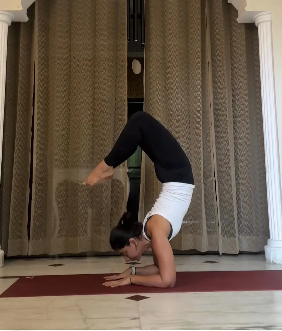 Arrtha Yoga- Hatha & Ashtanga Yoga — Yoga in Patel Nagar