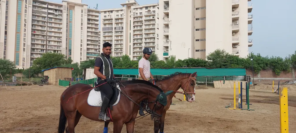 Horse Riding Club — Horse Riding in Sector 70