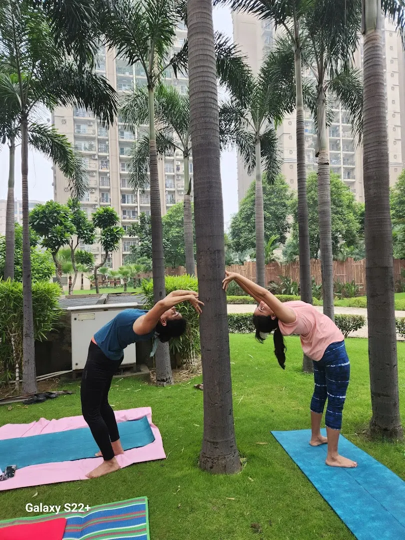 Now Live Fit Yoga Trainer & Instructor — Yoga in Indirapuram