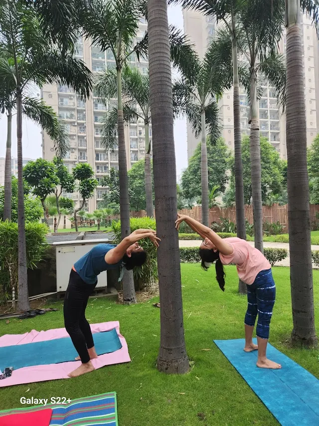 Now Live Fit Yoga Trainer & Instructor — Yoga in Indirapuram