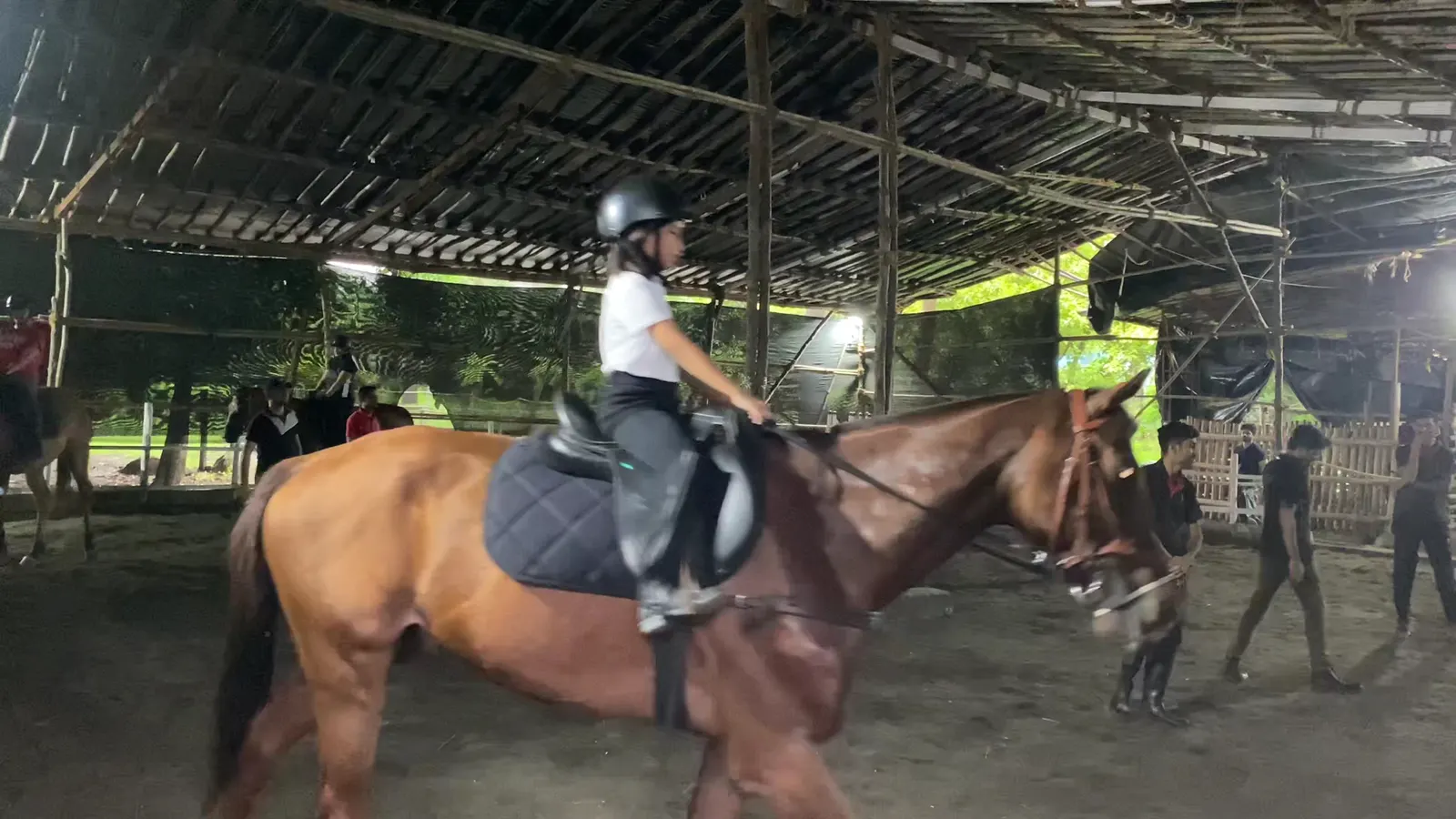 The Riding School — Horse Riding in Malad West, Mumbai