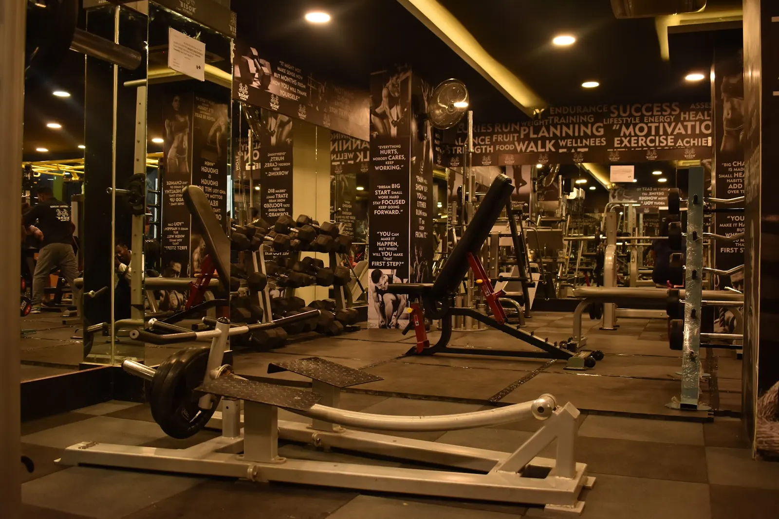 Bison Fitness photo 1