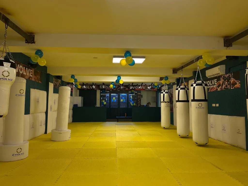 Evolve Mixed Martial Arts — Martial Arts in Malviya Nagar