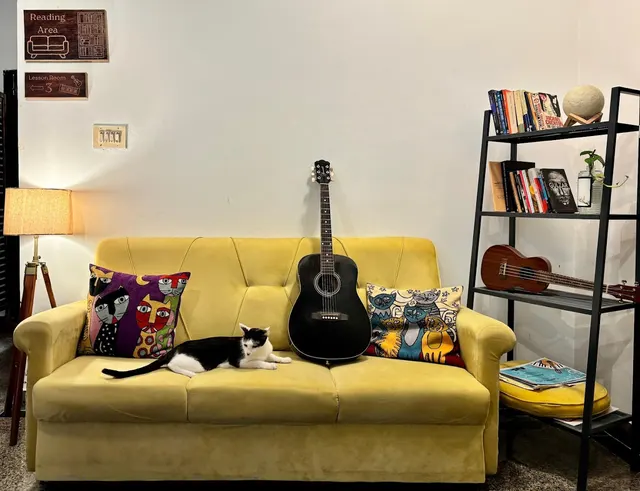 Solo Music Lessons — Music in JP Nagar