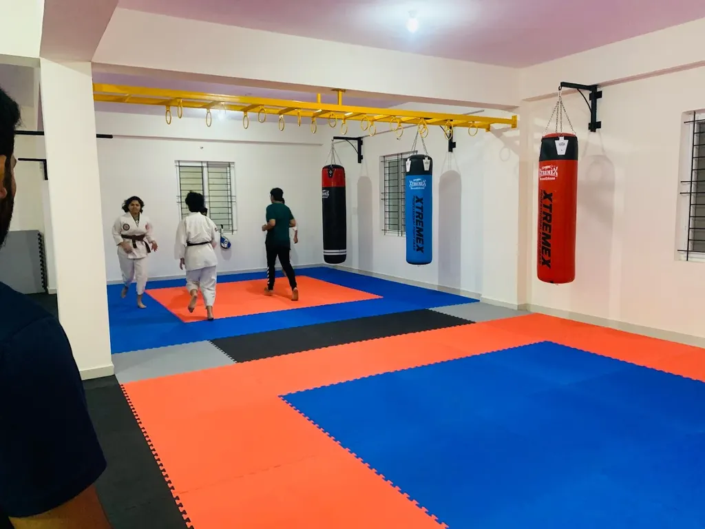 Okinawa Shorin Ryu Karate Do India — Martial Arts in Whitefield