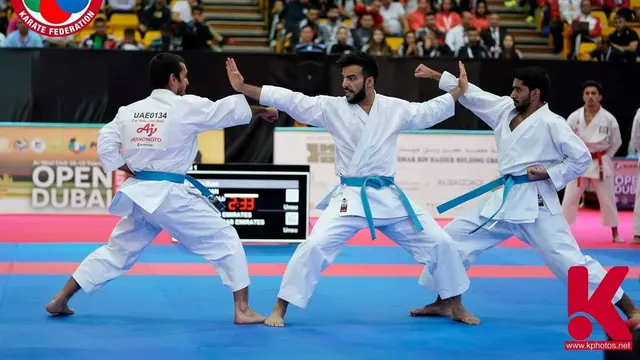 COMBAT MARTIAL ARTS — Martial Arts in Sector 50
