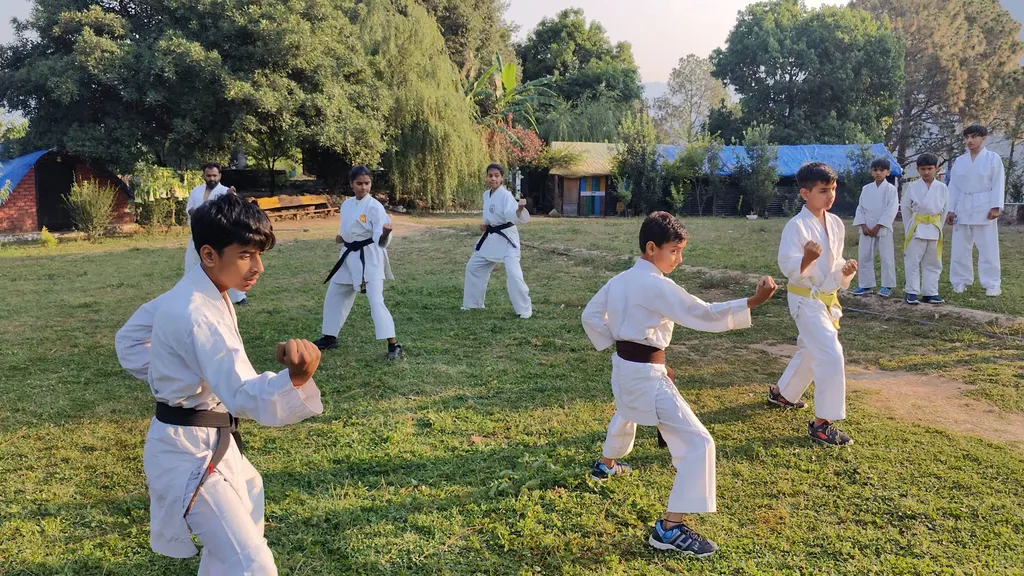 Ashish Martial Art Academy And Fitness Point — Martial Arts in Sector 93