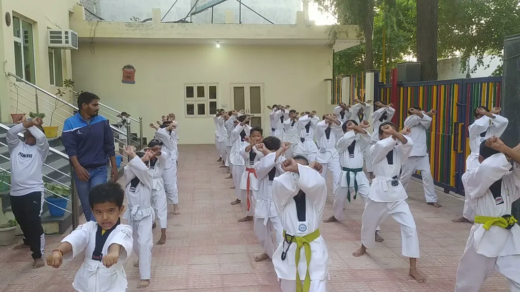sumit martial arts academy india haryana — Martial Arts in Sector 3