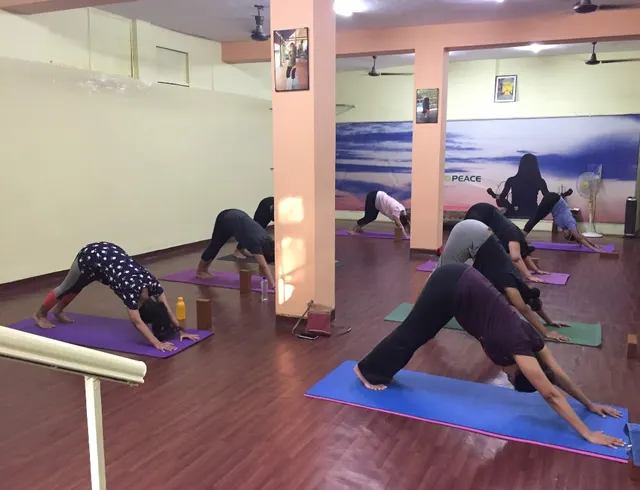 Pace To Peace Yoga Studio — Yoga in Saket