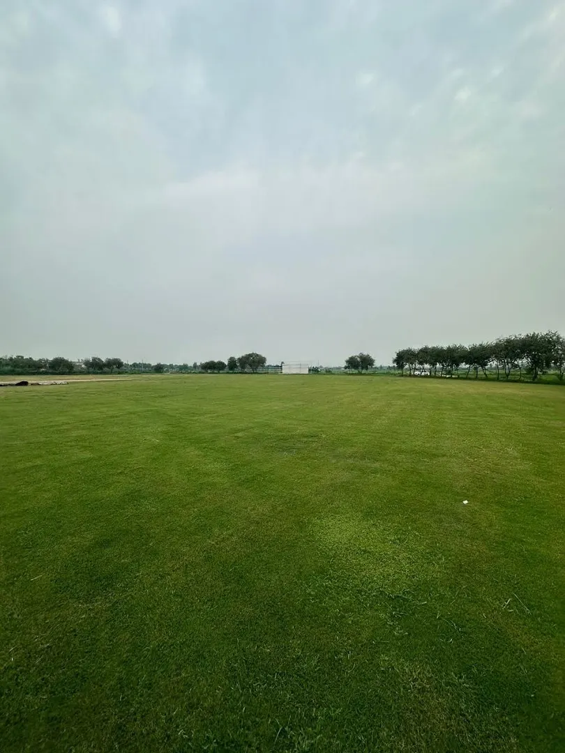 Own cricket club 2 — Cricket in Sector 88, Noida