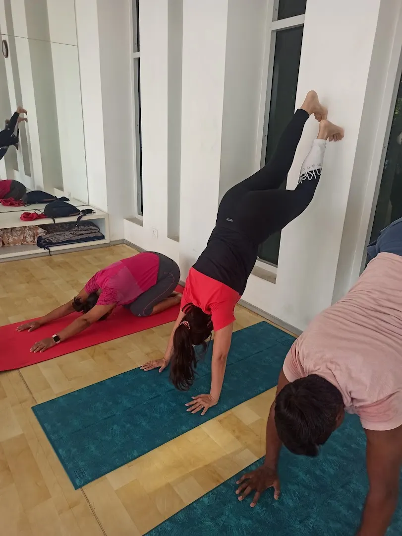 PowerUp Fitness — Yoga in Sector 57