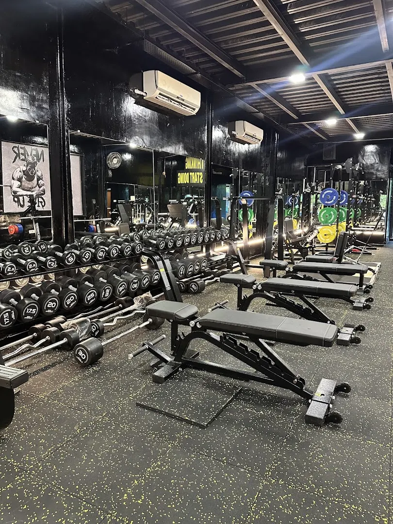 Pro fitness — Standard Gym in Andheri West, Mumbai