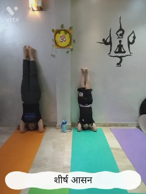 Arogya Yog Dhara [Yoga studio and naturopathy center] — Yoga in Uttam Nagar