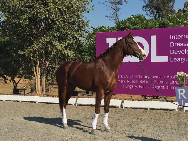Olympic Riding & Equestrian Academy — Horse Riding in Jaunapur