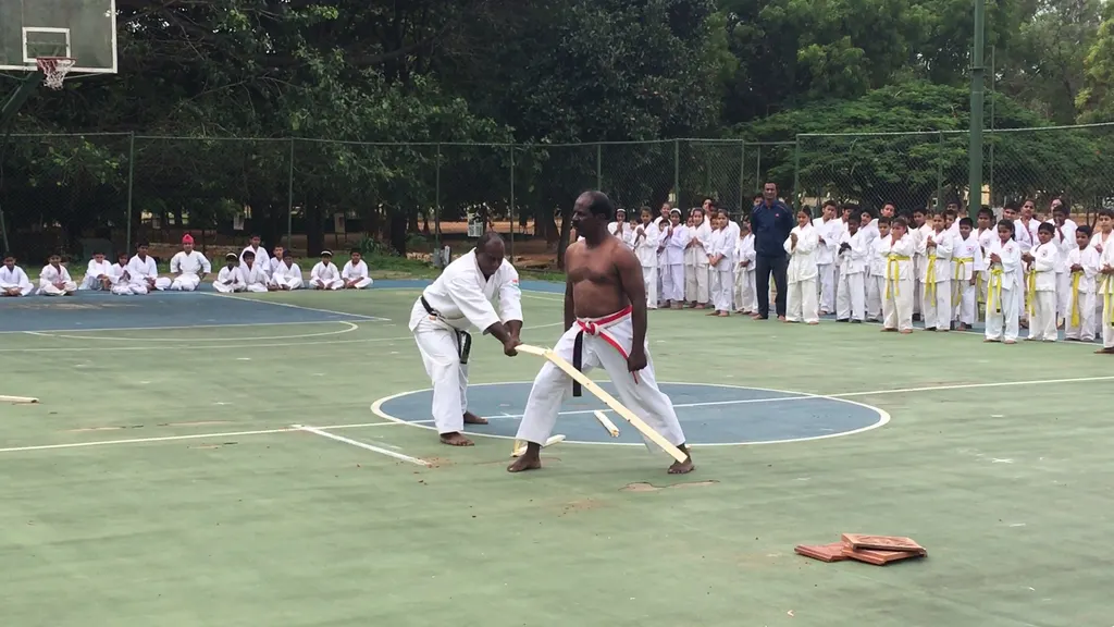 Okinawa Gojukan Karate-Do Training School — Martial Arts in Yelahanka