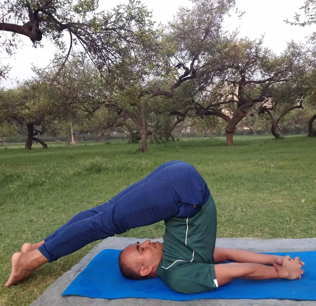 Anuj Yoga Home Classes — Yoga in Rohini