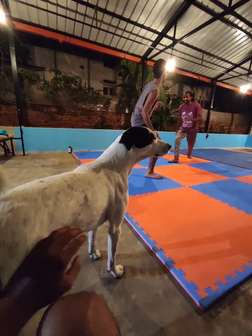 SOTF - Survival of the Fittest — Martial Arts in Shanti Nagar