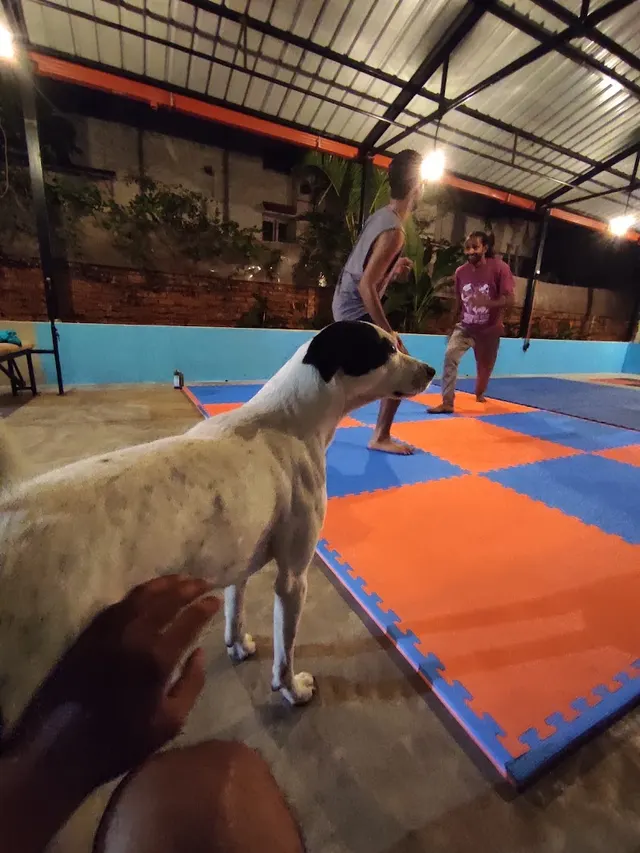 SOTF - Survival of the Fittest — Martial Arts in Shanti Nagar