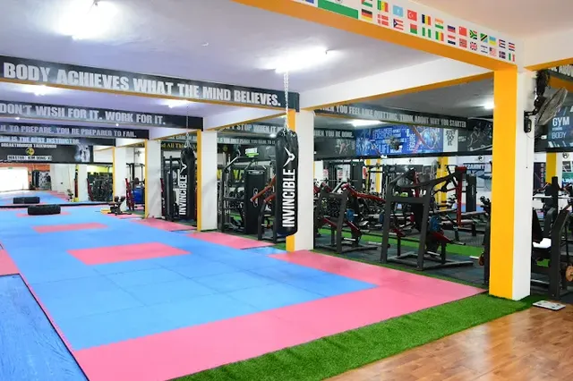 Flip Nest Gym