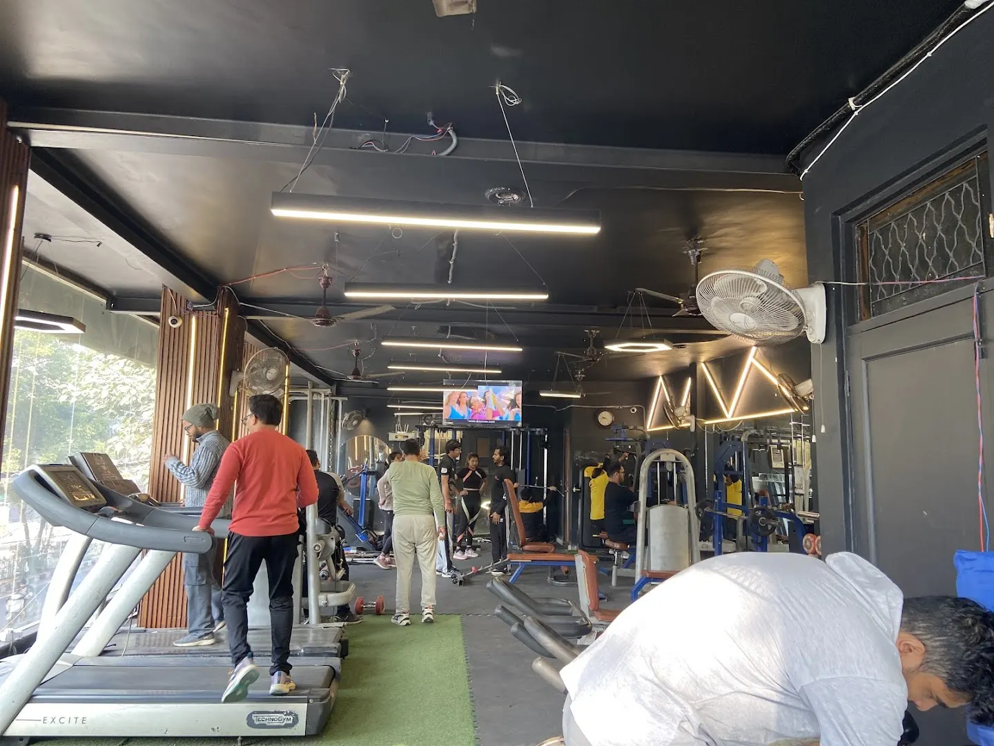 The Muscle Studio photo 1