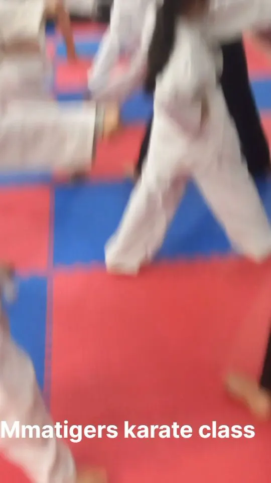 Best MMA Training near Tilak Nager — Martial Arts in Tilak Nagar